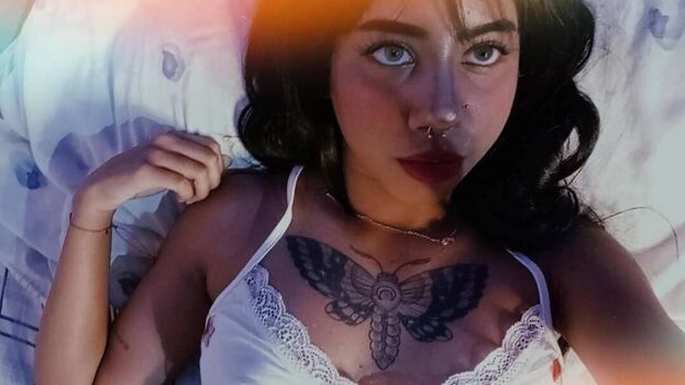 Mlditaconejita
