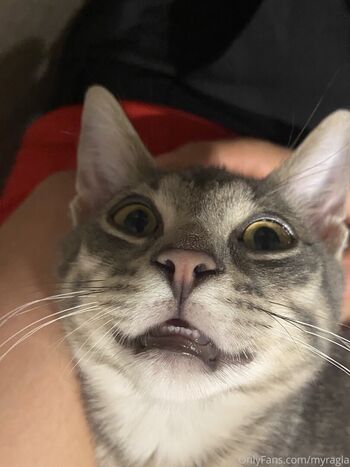 Full leaked Myramoans private photo