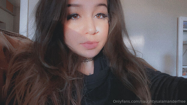 naughtysalamanderfree