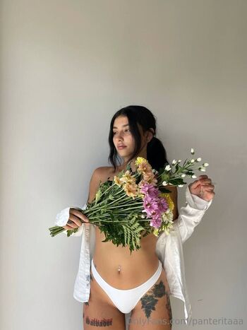 panteritafree