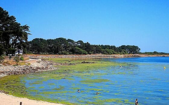 Full leaked Pat castillo private photo