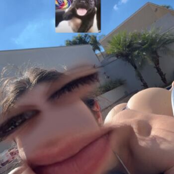 Full leaked Perfis daily private photo