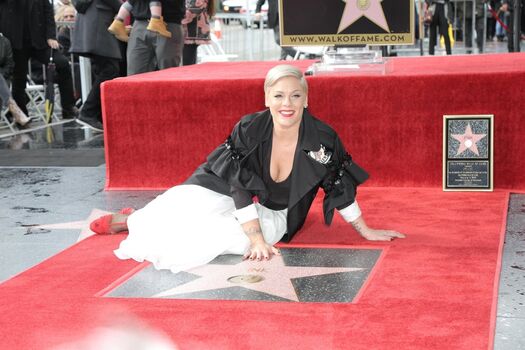 Full leaked Pink private photo
