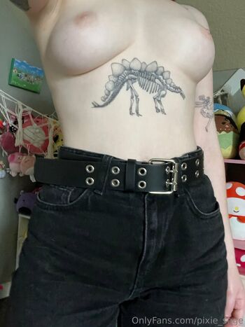 Full leaked Pixie sage page private photo