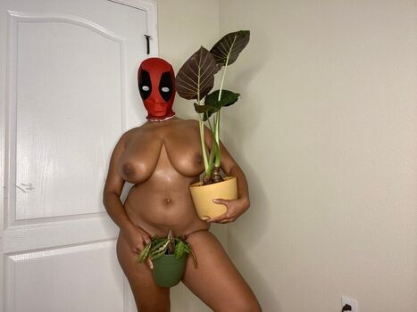 Plantbae
