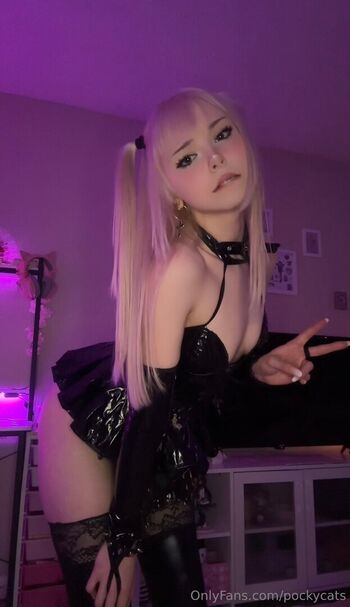 Pockycats