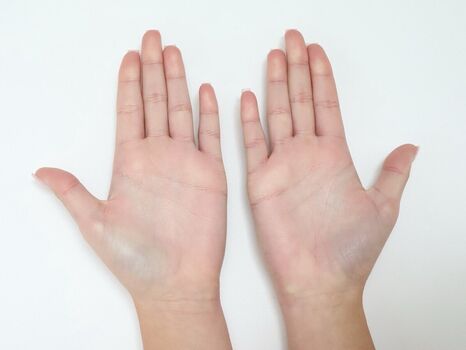 Rachelle Van Waardhuizen