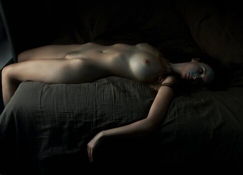 Rebirthofthebird
