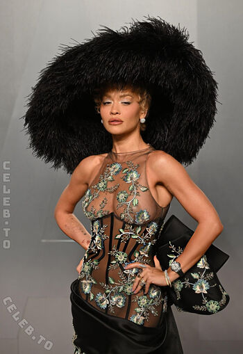 Full leaked Rita ora private photo