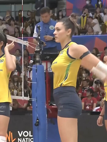 Rosamaria Montibeller