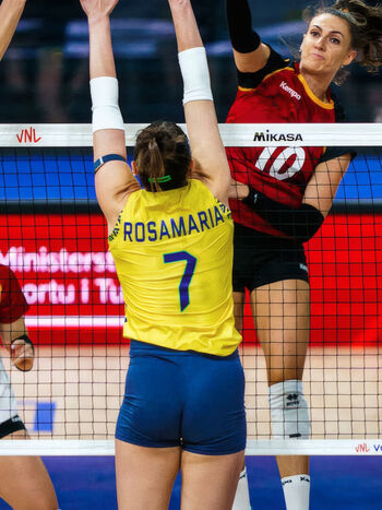 Rosamaria Montibeller