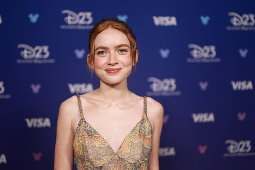 Full leaked Sadie sink page private photo
