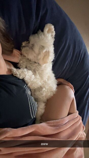 Full leaked Sara dobrik private photo