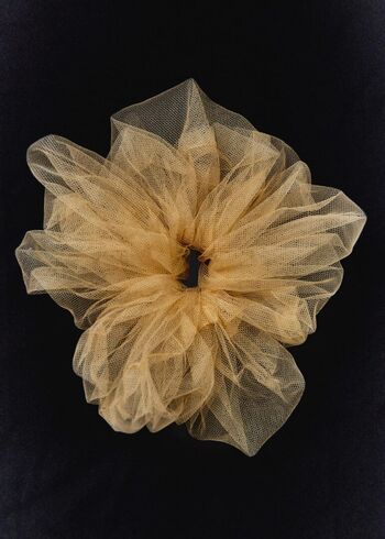 Full leaked Scrunchie private photo