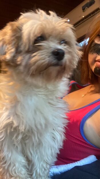 Full leaked Sofia bianca private photo