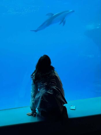 Sofia Gomez / Sofiiiagomez