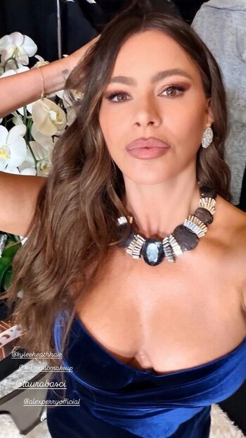 Full leaked Sofia vergara  page private photo
