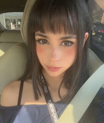 Softdoll