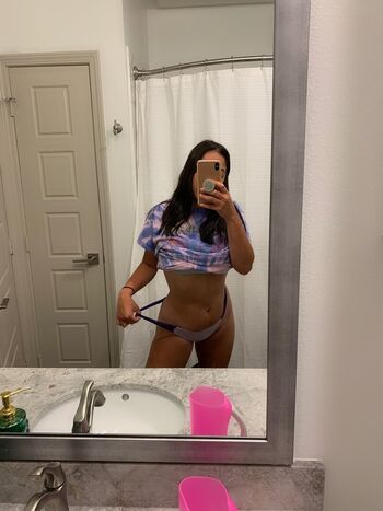 Stephllanes_