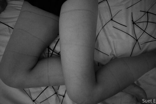 suet_e