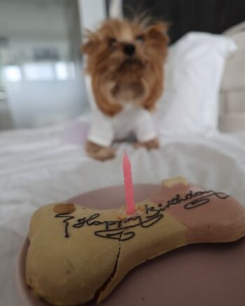 Full leaked Tattoogirlalia  page private photo