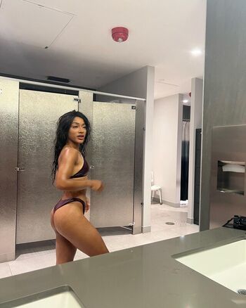 taylorchamp