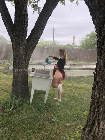 texaspix1eee