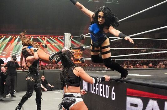The Bella Twins