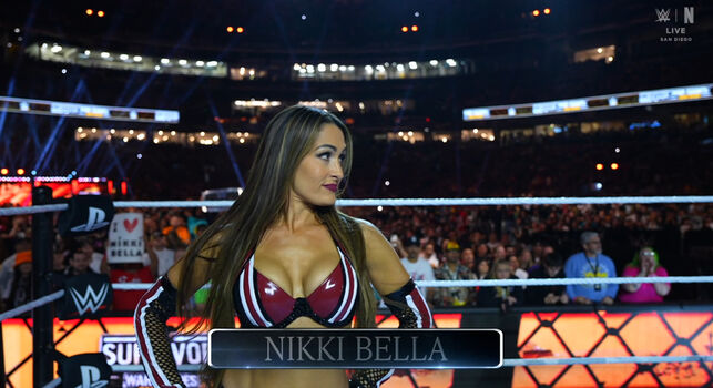 The Bella Twins