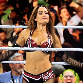 The Bella Twins