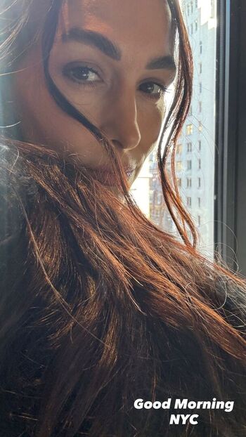 Full leaked The bella twins private photo