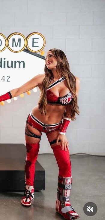 Full leaked The bella twins private photo