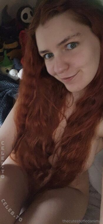 thecutestuffedanimal