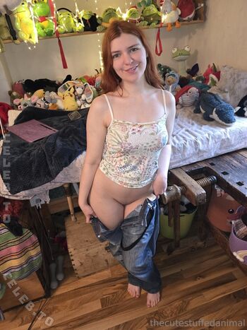 thecutestuffedanimal