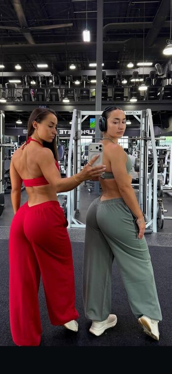 twinsb_fit