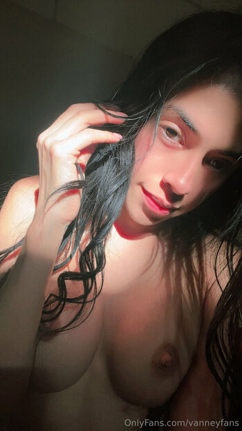vanneyfans