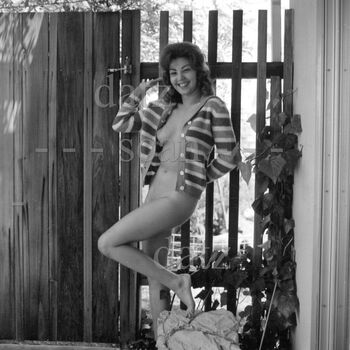 Vintage English Pinups