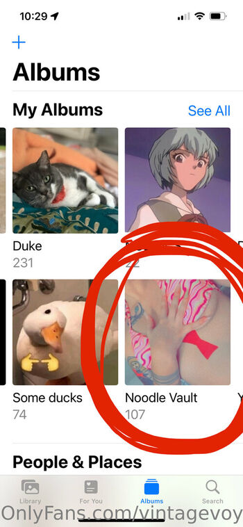 vintagevoyeurexhibit