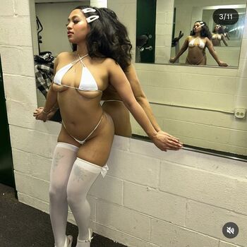 Visual Vixen