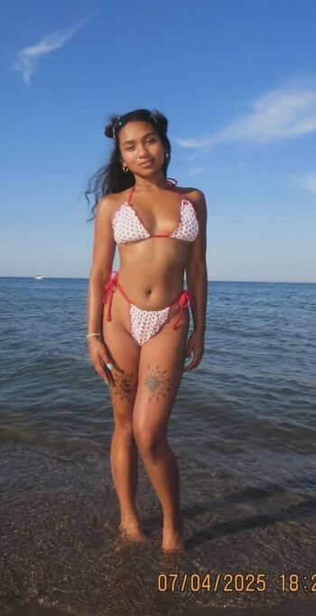 Visual Vixen