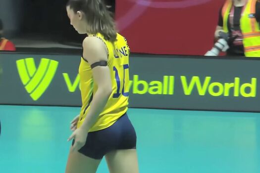 Volei Brasil
