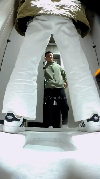 Full leaked Voyeur asian pissing toilet amp upskirts only page private photo