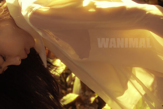 Wanimal Models