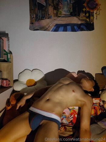 watanabekung24
