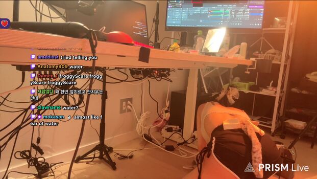 yoon_froggy - korean streamer