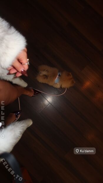 Full leaked Zlan private photo