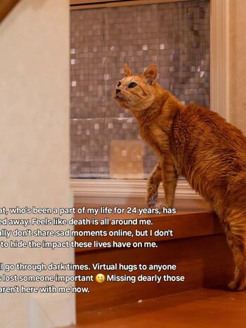 Leaked Salspice/ private photo viral onlyfans